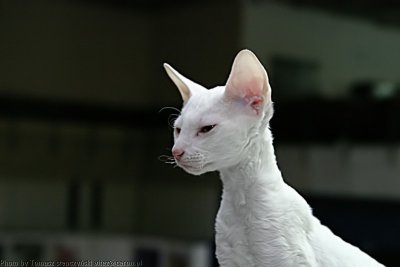 img_0707.jpg