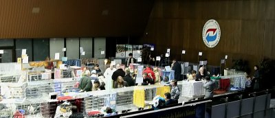 img_0777.jpg