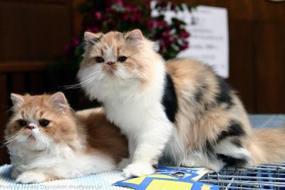 CRW_6581.jpg