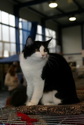 IMG_2815.jpg