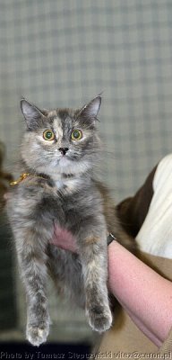 IMG_2884.jpg
