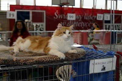 IMG_2978.jpg