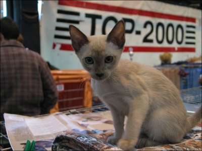 IMG_2049.jpg
