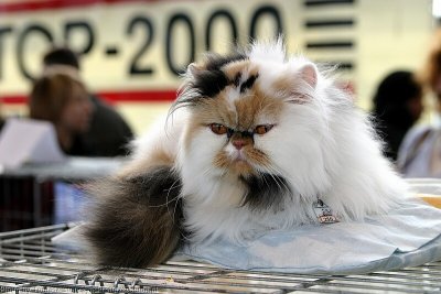 IMG_2166.jpg