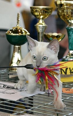 IMG_2196.jpg