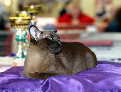 IMG_2209.jpg