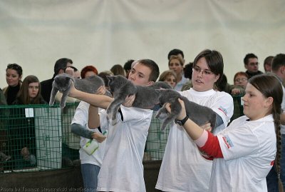 IMG_2323.jpg
