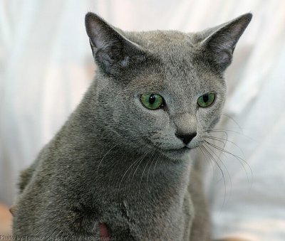 IMG_2367.jpg