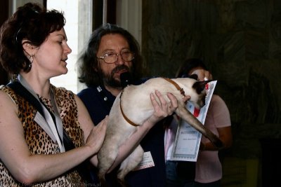 CRW_7032.jpg
