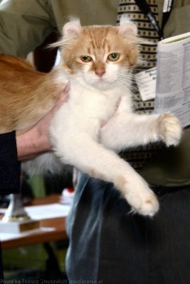 CRW_7048.jpg