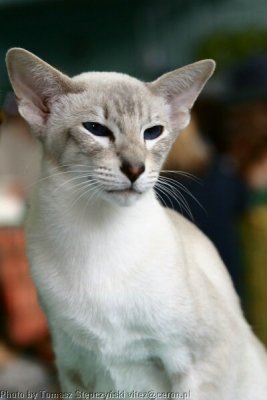 CRW_5880.jpg