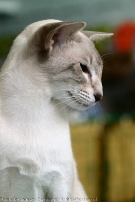 CRW_5883.jpg