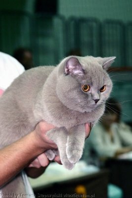 CRW_5999.jpg