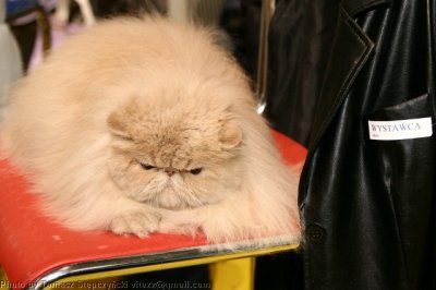 IMG_0168.jpg