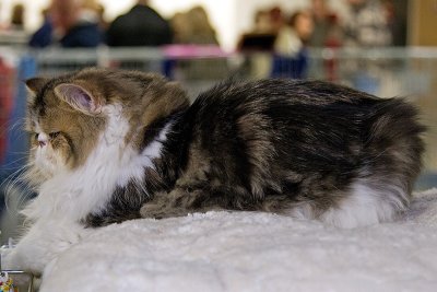 IMG_2177.jpg
