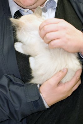 IMG_2216.jpg