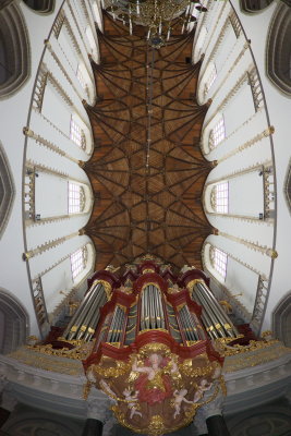 Bavo Church; organ