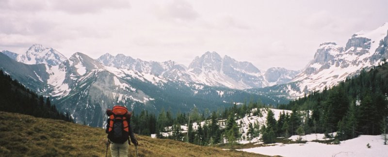 Wonder Pass
