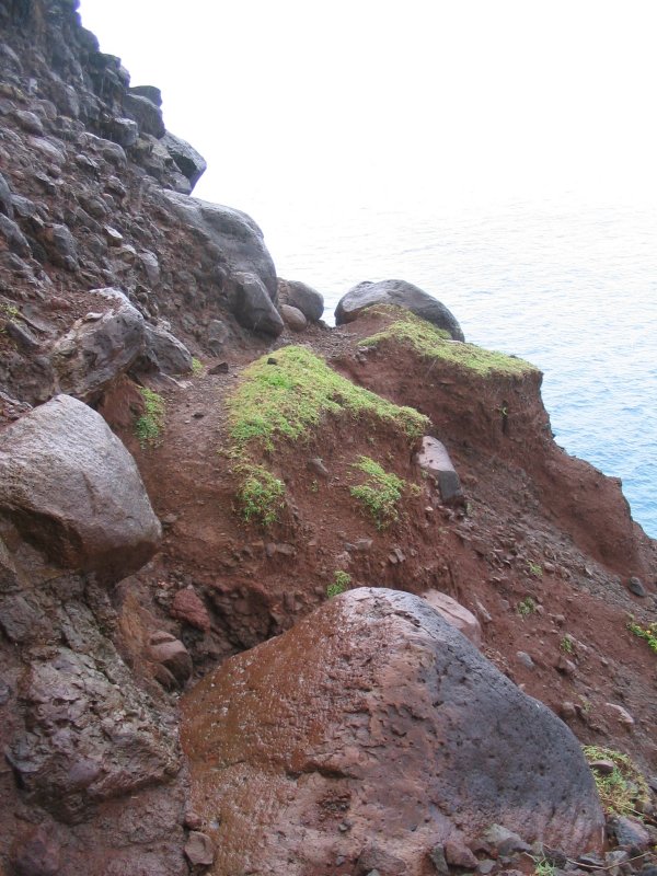 this trail doesnt look too great!