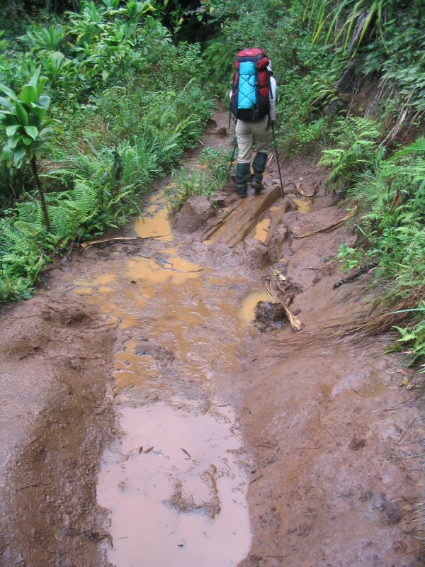 muddy!
