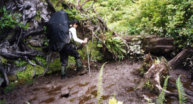 muddy!