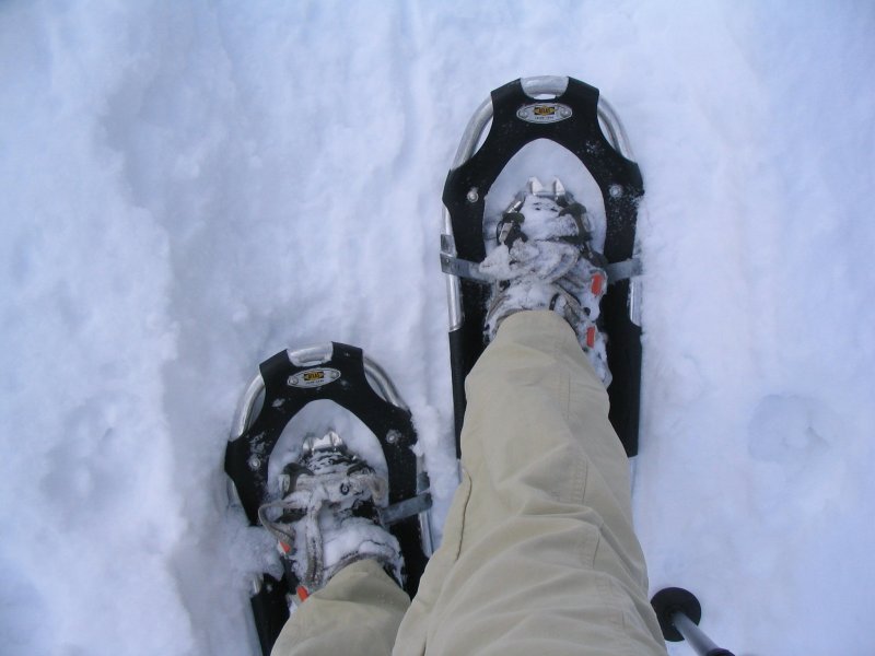 snowshoes