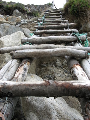 ladder in ravine heading toward Campamento Los Guardas