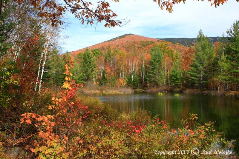 Pond off the Kancamagus Highway.jpg