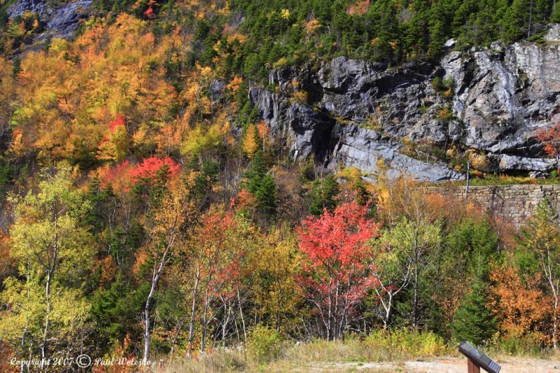 Rocky Mountainside.jpg