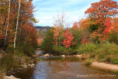Stream in Crawford Notch State Park2.jpg