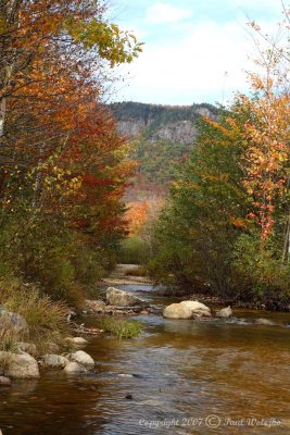Stream in Crawford Notch State Park3.jpg