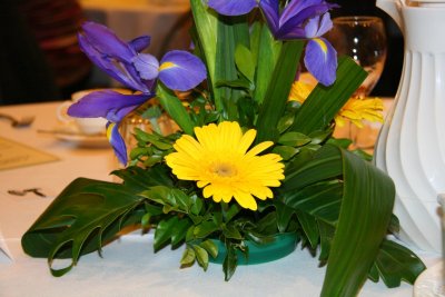 IMG_8336.JPG