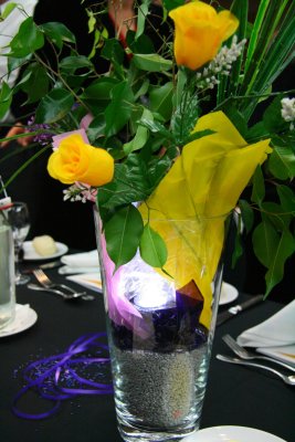 IMG_8993.jpg