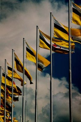 Brunei National Flags