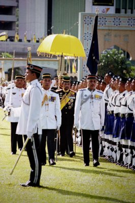 Majesty Celebration