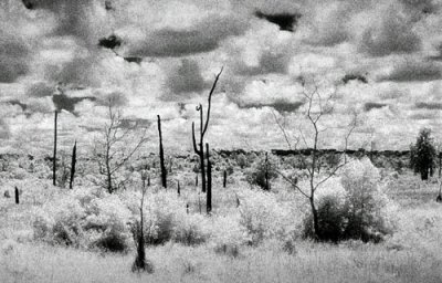 infrared@kg.Serambangun