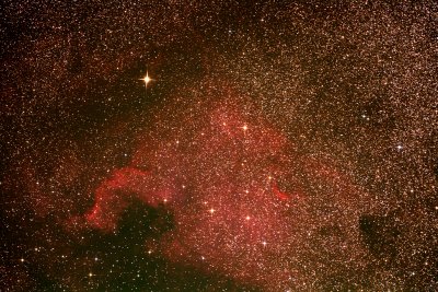 NGC 7000, la Nbuleuse de l'Amrique du Nord