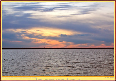 _MG_7980-Edit-copy.jpg
