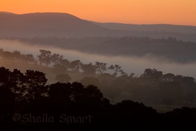 Sunrise over paddocks near Goulburn, NSW