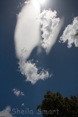 Strange cloud web.jpg