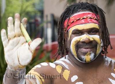 Turtle - aboriginal didge player