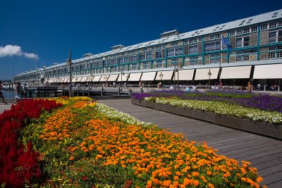 Finger Wharf  at Woolloomooloo