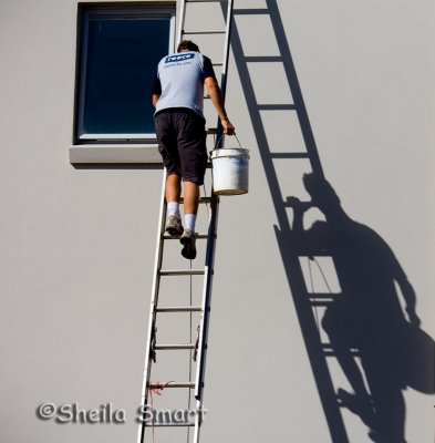 Worker on ladder with shadow