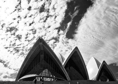 Sydney Opera House with dramatic sky