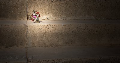 Dying flowers on steps
