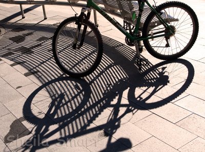 Bike shadow in Manly