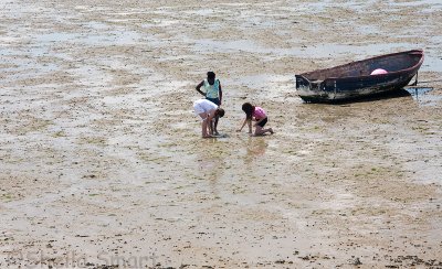 Kids on mudflats