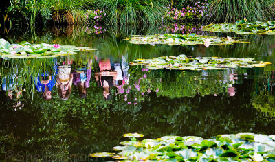 Reflection in Monet's lily pond, Giverny, France
