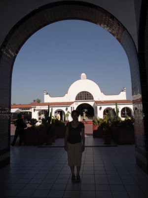 _0012328 web copy.jpg