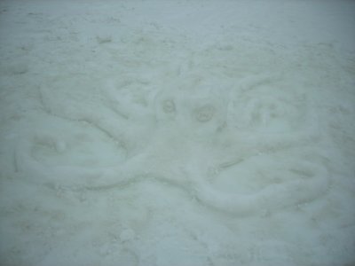 Eli's Octopus